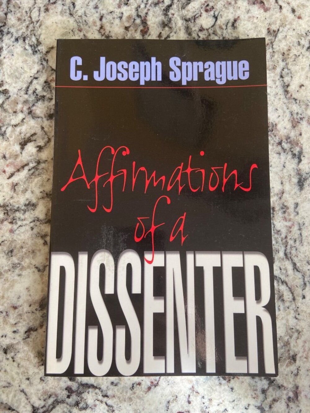 Affirmations of a Dissenter Joseph Sprague PB 2002 Progressive Christian Book
